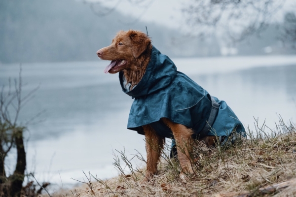 Hurtta Hunde-Regenmantel Monsoon coat blau